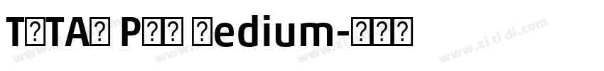 TSTAR PRO Medium字体转换